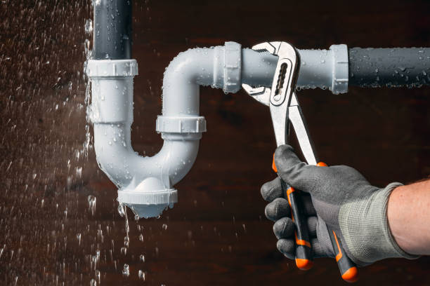 Professional Toilet Repair technician working in Monroe Center, IL